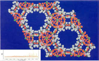 2014��߿���W(xu��)���W(xu��)���T����I(y��)��W(xu��)���������ϿƌW(xu��)�c����