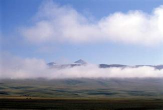 2014��߿���W(xu��)���W(xu��)���T����I(y��)��W(xu��)���������ƌW(xu��)�