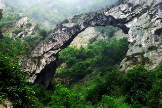 2014��߿���W(xu��)���W(xu��)���T����I(y��)��W(xu��)���������|(zh��)�YԴ�c���|(zh��)����