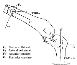 2014��߿���W(xu��)���W(xu��)���T����I(y��)��W(xu��)���������W(xu��)�