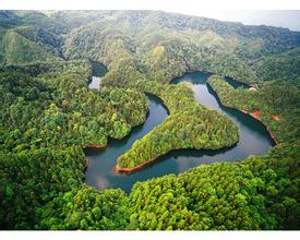 2014��߿���W(xu��)���W(xu��)���T����I(y��)��W(xu��)�������֘I(y��)����