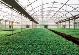 2014��߿���W(xu��)���W(xu��)���T����I(y��)��W(xu��)�������r(n��ng)�ֽ�(j��ng)��(j��)�����