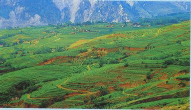 2014��߿���W(xu��)���W(xu��)���T����I(y��)��W(xu��)�������r(n��ng)�I(y��)�YԴ�c�h(hu��n)��