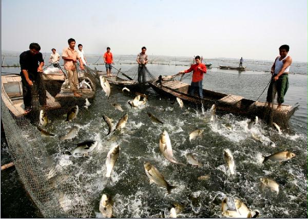 2014��߿���W(xu��)���W(xu��)���T����I(y��)��W(xu��)������ˮ�a(ch��n)�W(xu��)�